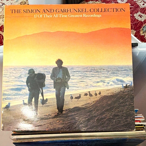 Simon garfunkel the - garfunkel,
